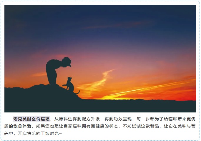 派得宠物